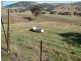 487 Mt McDonald Road, Wyangala NSW 2808