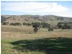 487 Mt McDonald Road, Wyangala NSW 2808