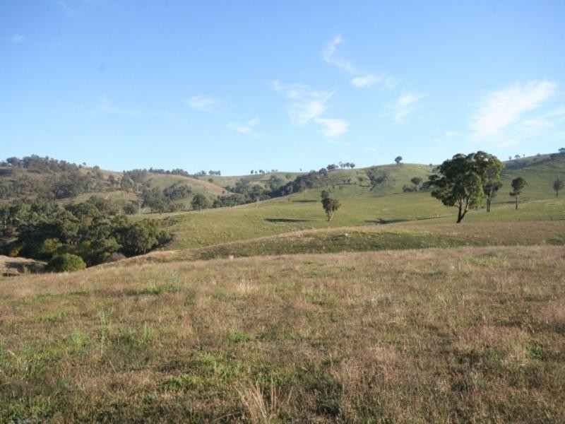 2913 beaconsfield Road, Wisemans Creek NSW 2795