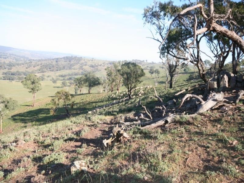 2913 beaconsfield Road, Wisemans Creek NSW 2795