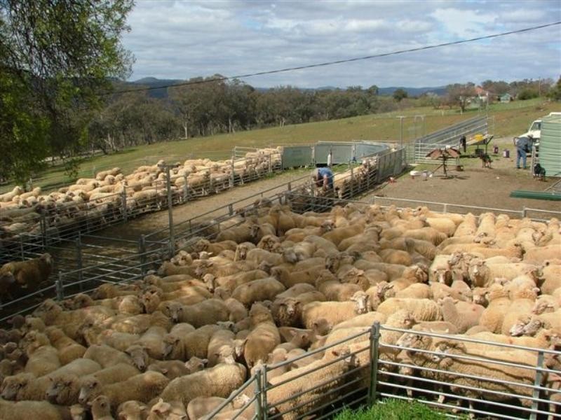 0 Goulburn Road, Tuena NSW 2583