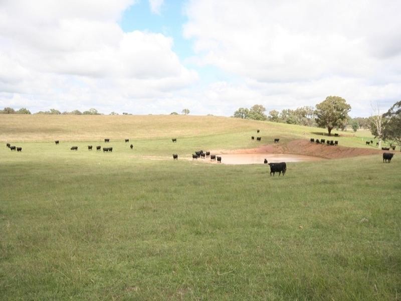 Blayney NSW 2799