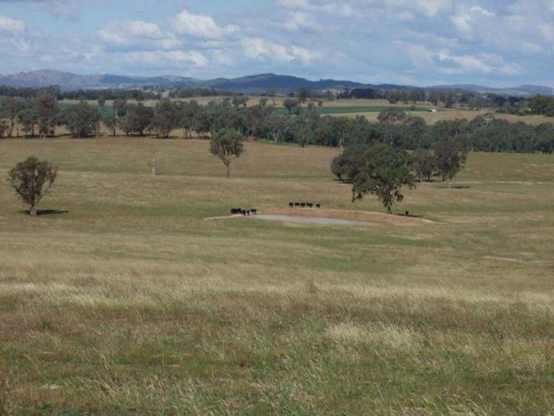 Blayney NSW 2799