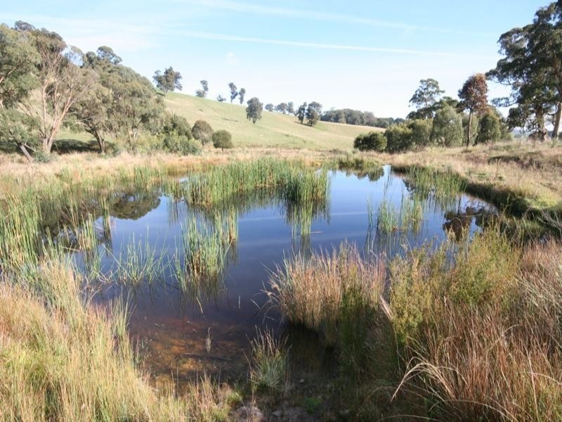Lot 2 Horseshoe Bend Road, Oberon NSW 2787