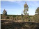 Lot 2 Horseshoe Bend Road, Oberon NSW 2787