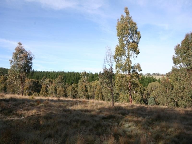 Lot 2 Horseshoe Bend Road, Oberon NSW 2787