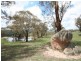 Lot 5 Mount Olive Road, Oberon NSW 2787
