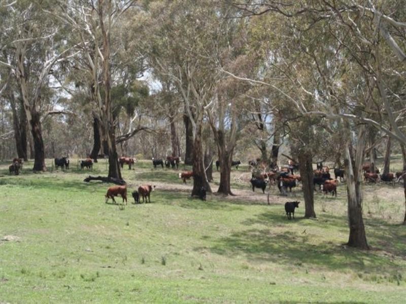 Lot 5 Mount Olive Road, Oberon NSW 2787