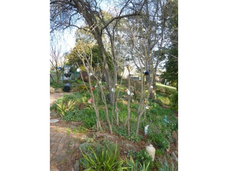 20 Oberon Street, Oberon NSW 2787