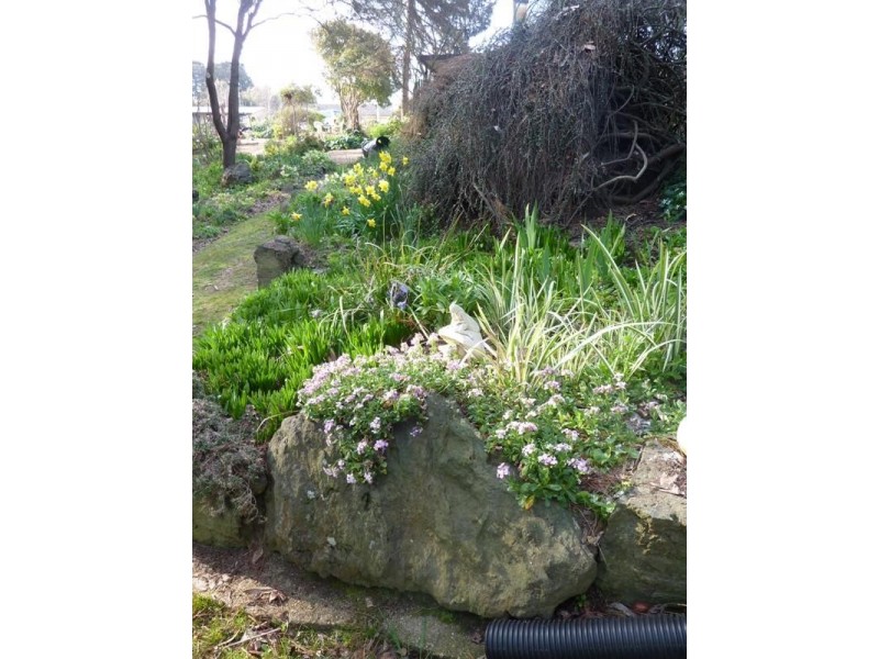 20 Oberon Street, Oberon NSW 2787