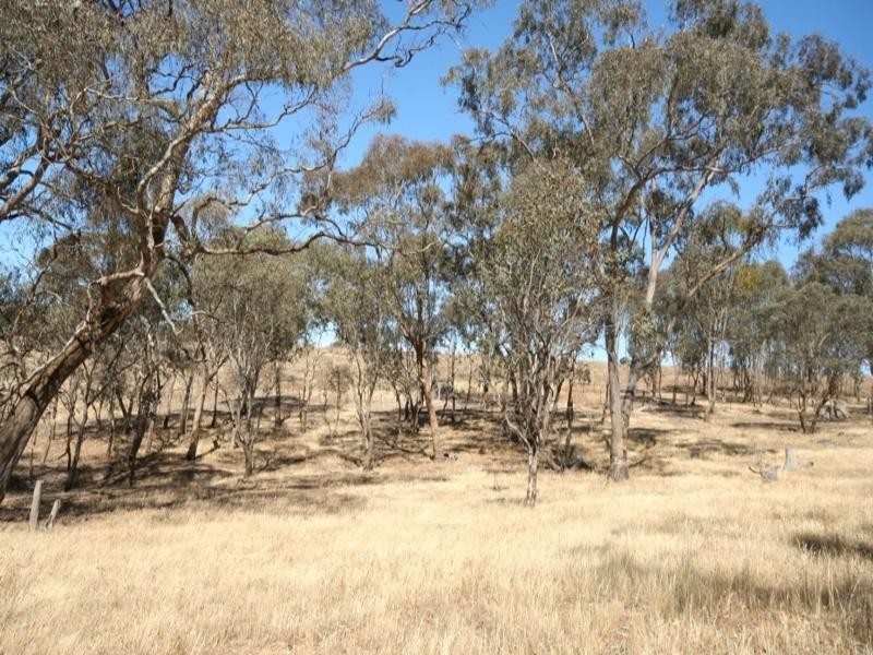 751 Carlwood Road, O’connell NSW 2795