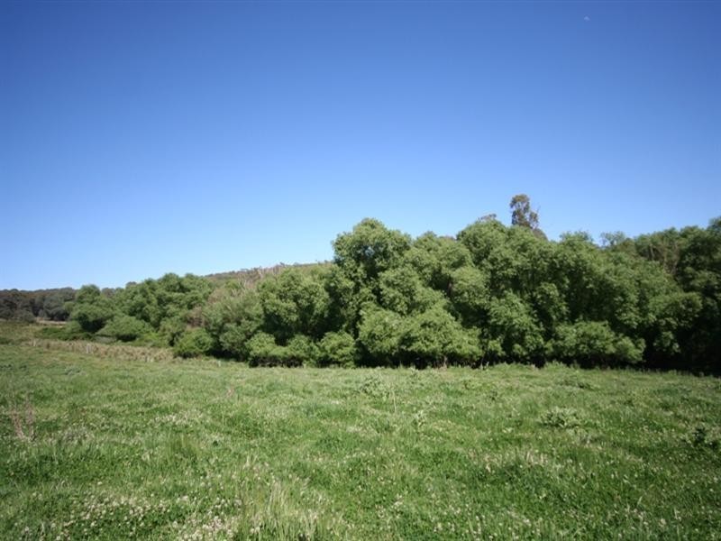 1535 Isabella Road, Isabella NSW 2795