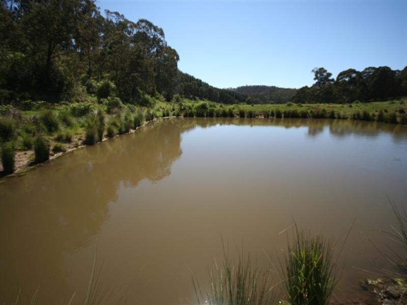 1535 Isabella Road, Isabella NSW 2795