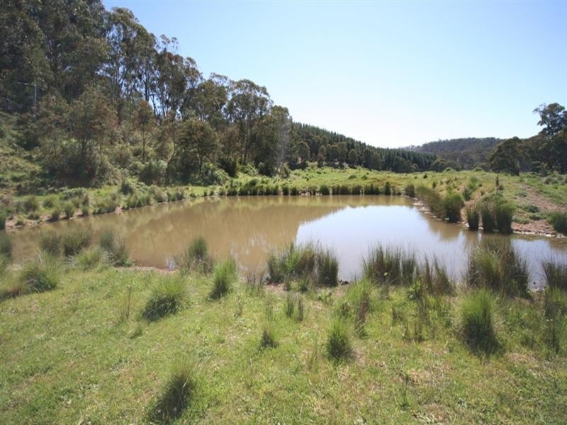1535 Isabella Road, Isabella NSW 2795