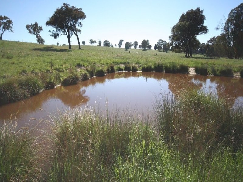 1535 Isabella Road, Isabella NSW 2795