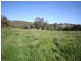 1535 Isabella Road, Isabella NSW 2795