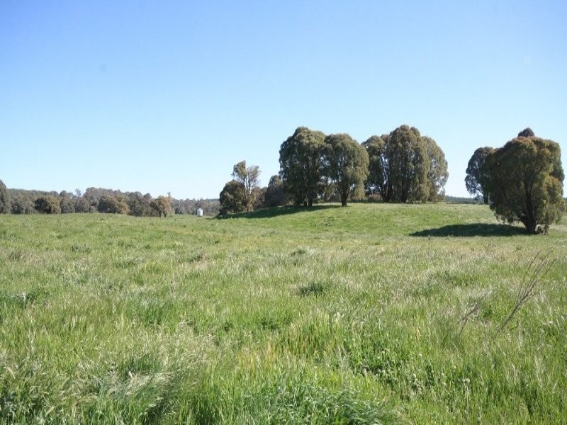 1535 Isabella Road, Isabella NSW 2795