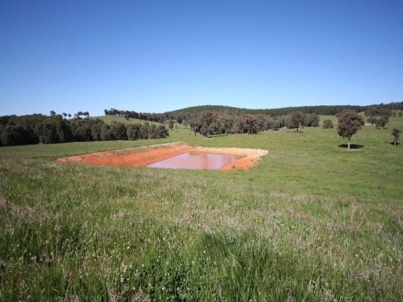 1535 Isabella Road, Isabella NSW 2795