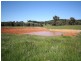 1535 Isabella Road, Isabella NSW 2795