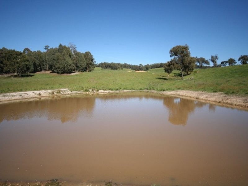 1535 Isabella Road, Isabella NSW 2795