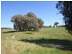 1535 Isabella Road, Isabella NSW 2795