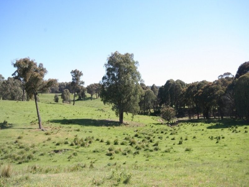 1535 Isabella Road, Isabella NSW 2795