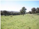 1535 Isabella Road, Isabella NSW 2795