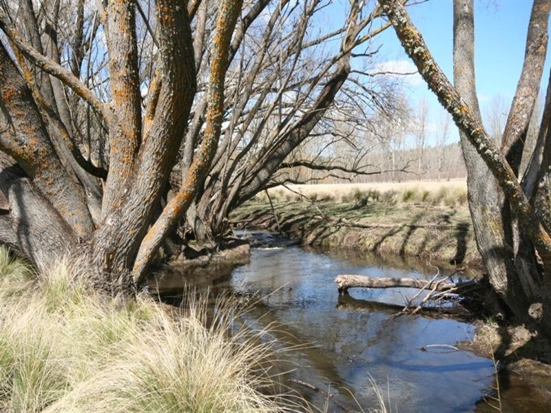 523 Campbells River Road, Black Springs NSW 2787