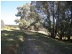 523 Campbells River Road, Black Springs NSW 2787