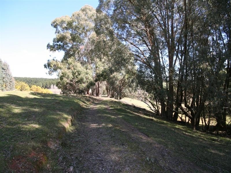 523 Campbells River Road, Black Springs NSW 2787