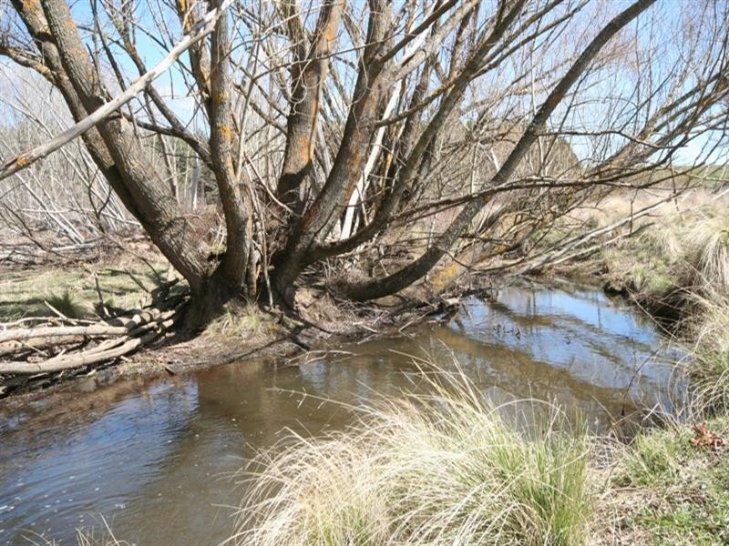 523 Campbells River Road, Black Springs NSW 2787