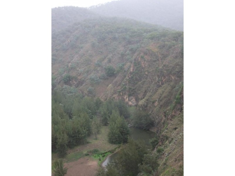 4538 The Bridle Track, Bathurst NSW 2795 the real estate agency