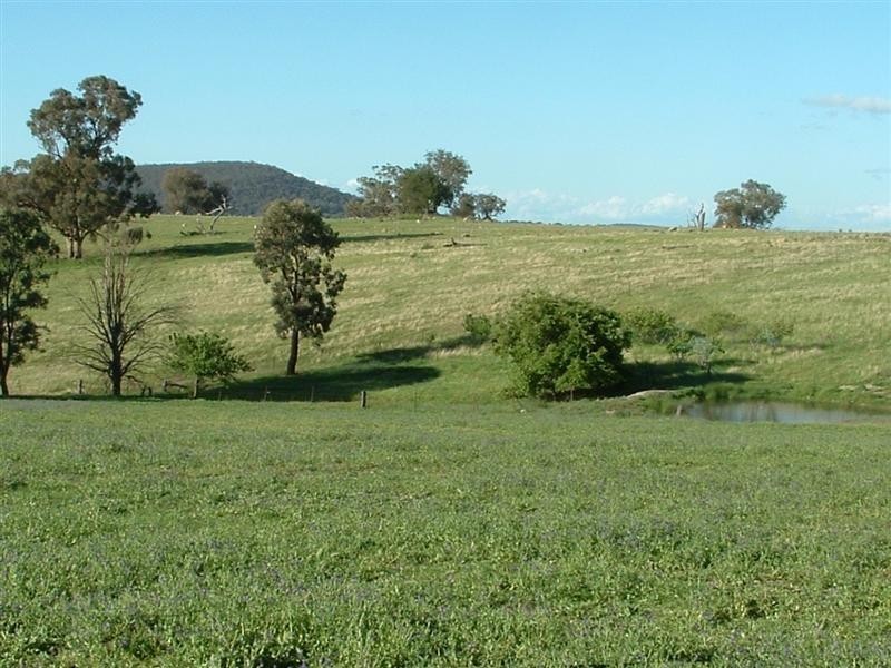 280 Elliots Road, Cowra NSW 2794