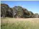 Gingkin NSW 2787
