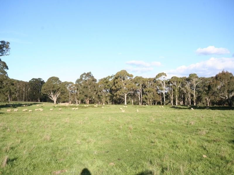 Gingkin NSW 2787