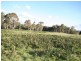 Gingkin NSW 2787