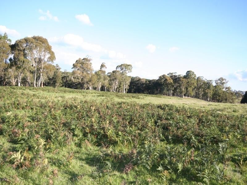 Gingkin NSW 2787