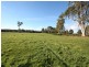 Gingkin NSW 2787