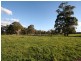 Gingkin NSW 2787