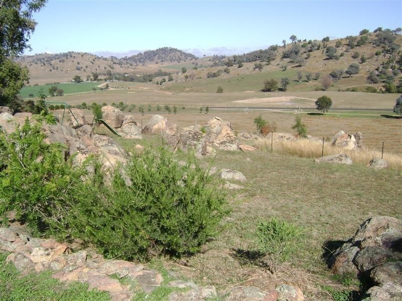 2405 Darbys Falls Road, Cowra NSW 2794