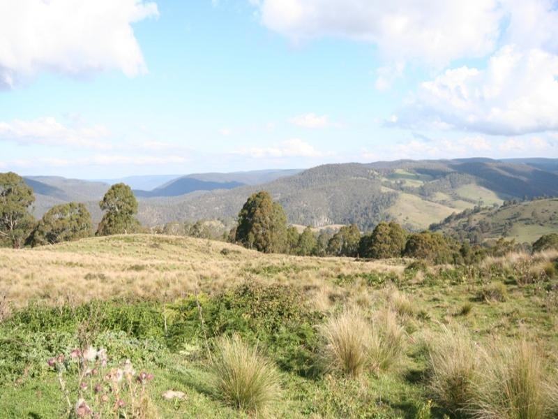 Gingkin NSW 2787