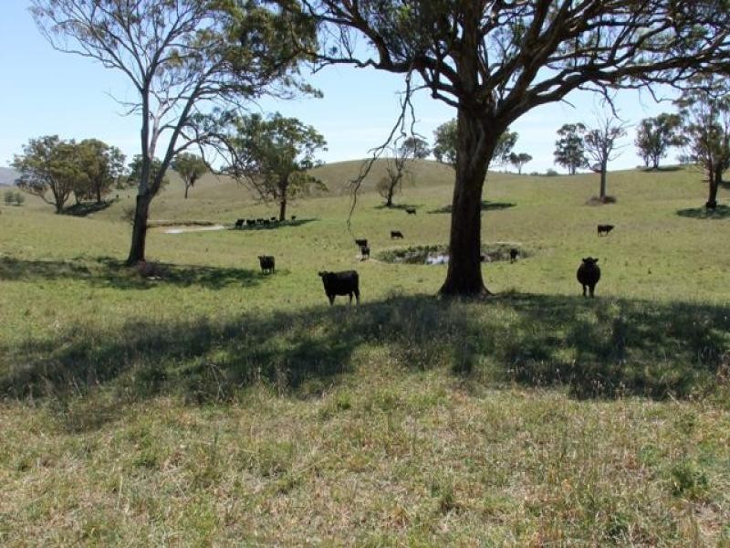 00 Caloola Road, Bathurst NSW 2795