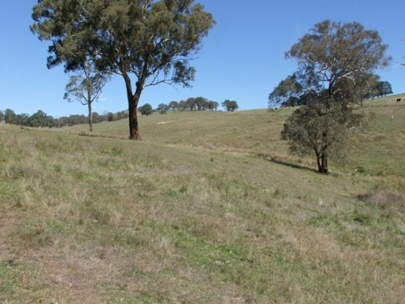 00 Caloola Road, Bathurst NSW 2795