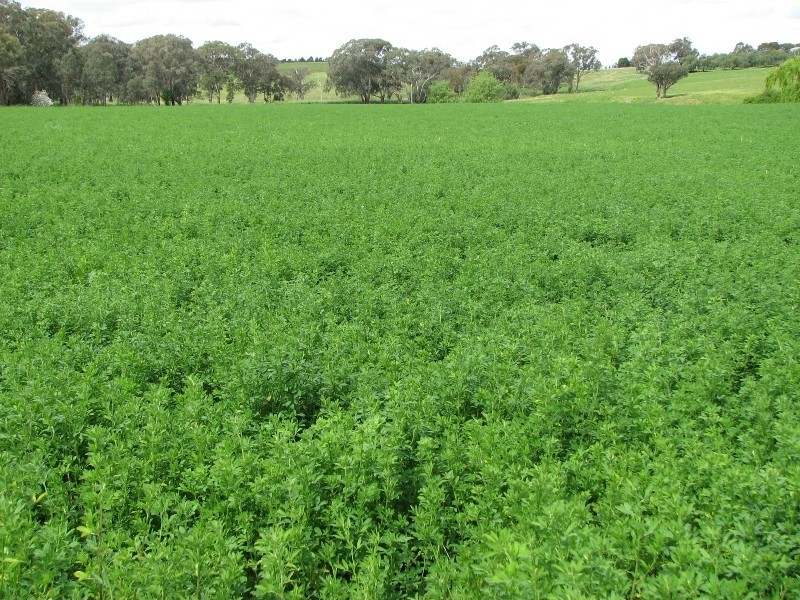 0 George Russell Drive, Cowra NSW 2794