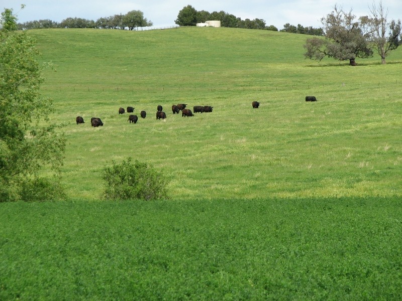 0 George Russell Drive, Cowra NSW 2794