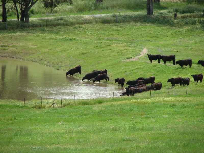 0 George Russell Drive, Cowra NSW 2794