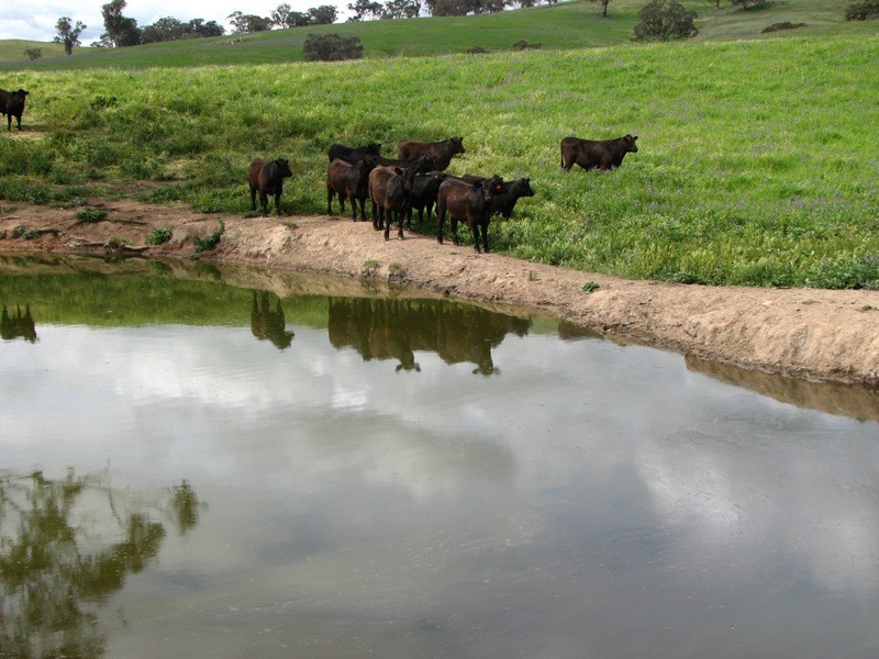 0 George Russell Drive, Cowra NSW 2794