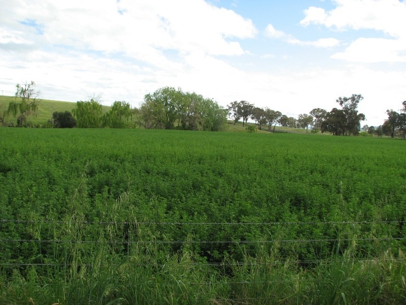 0 George Russell Drive, Cowra NSW 2794