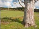 775 Mozart Road, Oberon NSW 2787