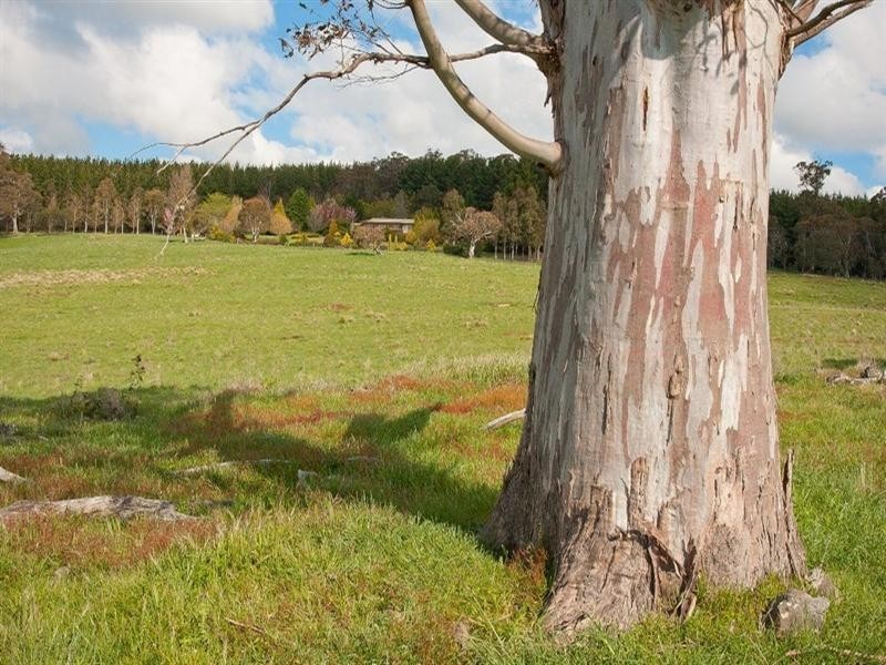 775 Mozart Road, Oberon NSW 2787